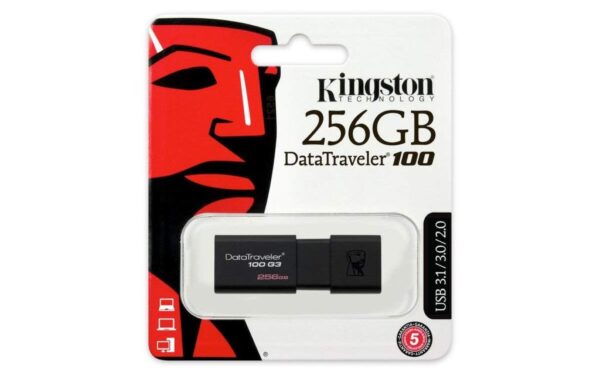 USB Kingston 256GB