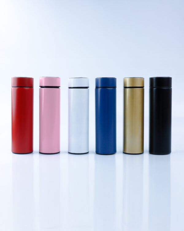 Temprature Display Water Bottle